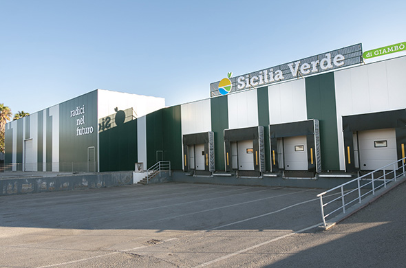 sicilia-verde-azienda sicilia-verde-azienda