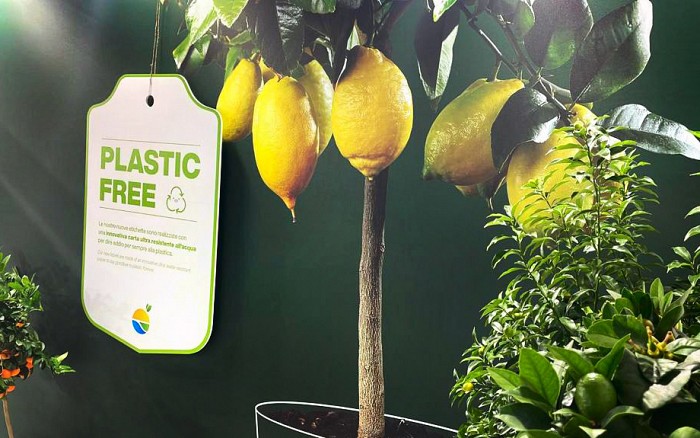 plastic-free
