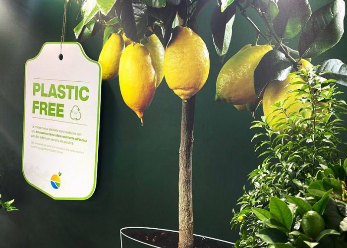 plastic-free