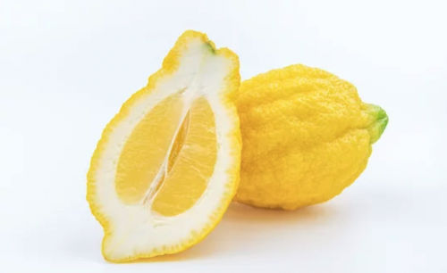 Piretto-citron